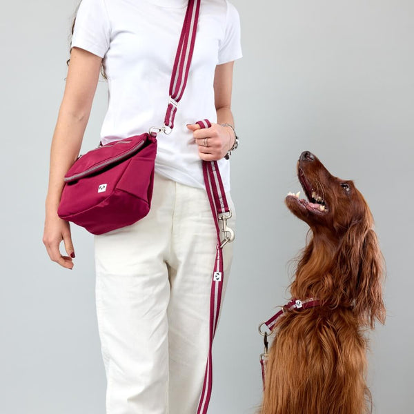 Walk Your Dog Month Snoot Style