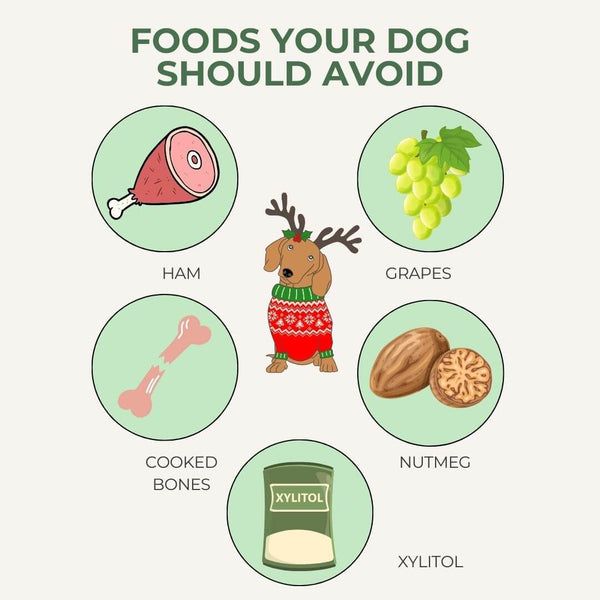Foods your dog should avoid at Christmas