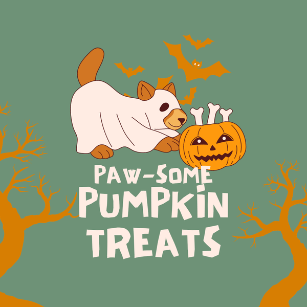 How to make Halloween pumpkin dog biscuits.