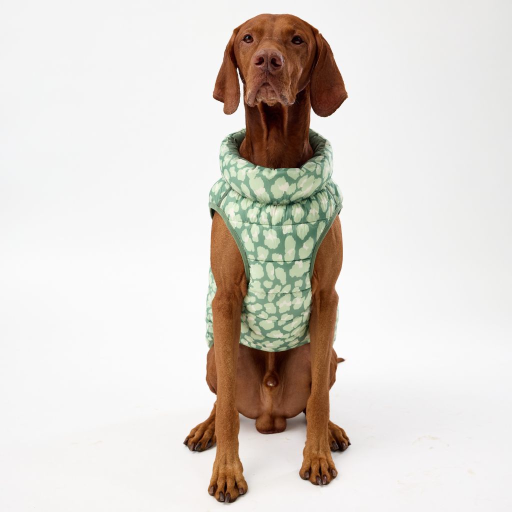 Dog Puffer Jacket for Large Dogs