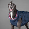 Greyhound Dog Puffer Jacket.