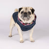 Dog Puffer Jacket for small dogs.