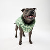Dog Puffer Jacket for Medium Dogs.