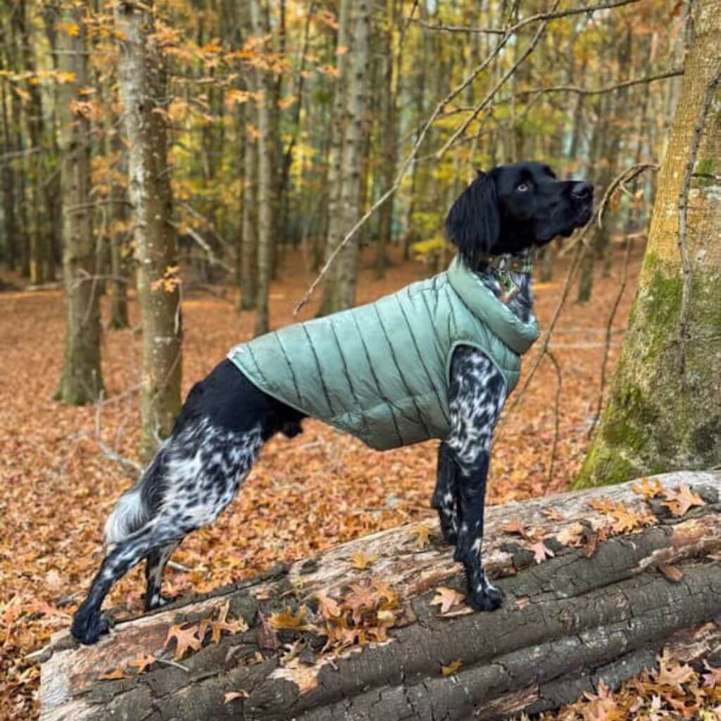 Dog Puffer Jacket for Large Dogs Snoot Style
