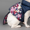 Reversible Dog Puffer Jacket.