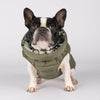 Snoot Style Small Dog Puffer Jacket.