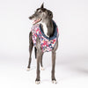 Snoot Style Dog Puffer Jacket for Greyhounds.
