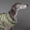 Dog Puffer Jacket for Greyhounds.