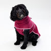 Dog Towel Robe for Cavoodles Snoot Style.