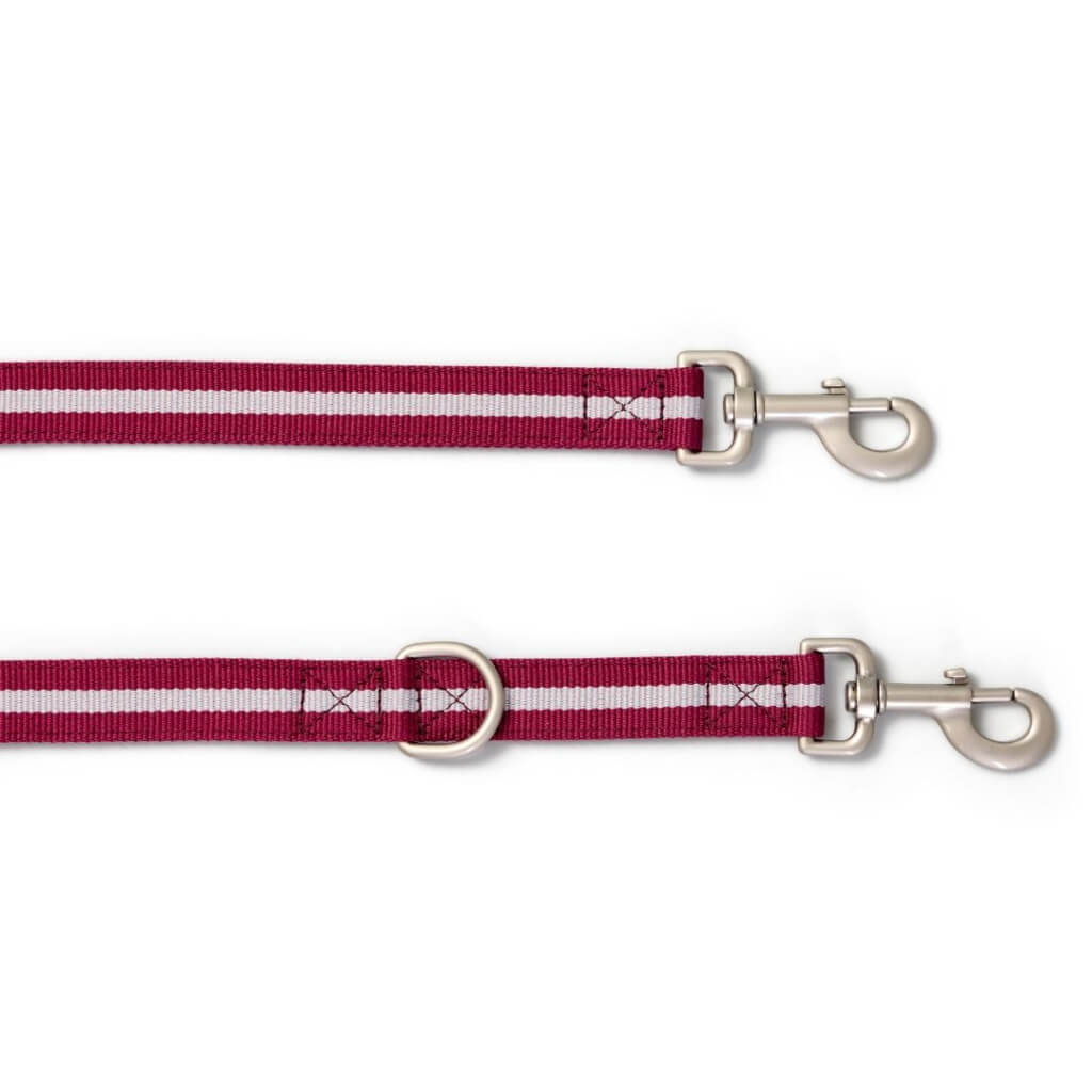 Double Ended Dog Lead Snoot Style.