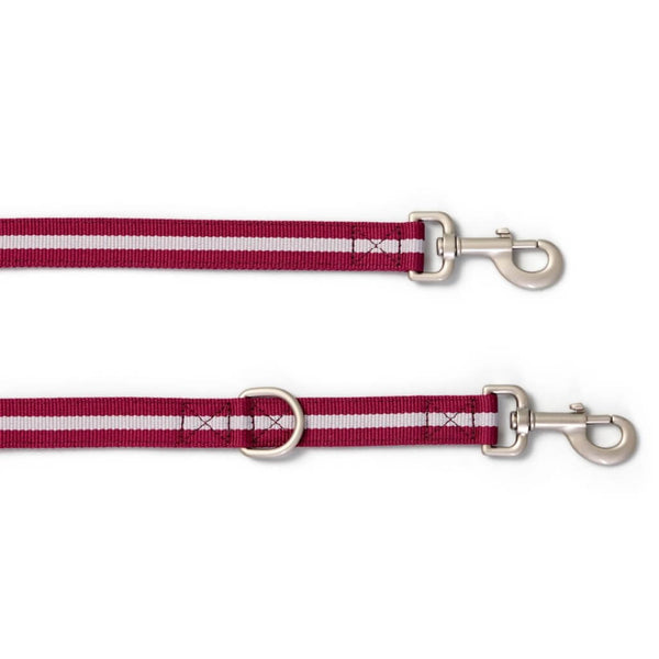 Double Ended Dog Lead Snoot Style.