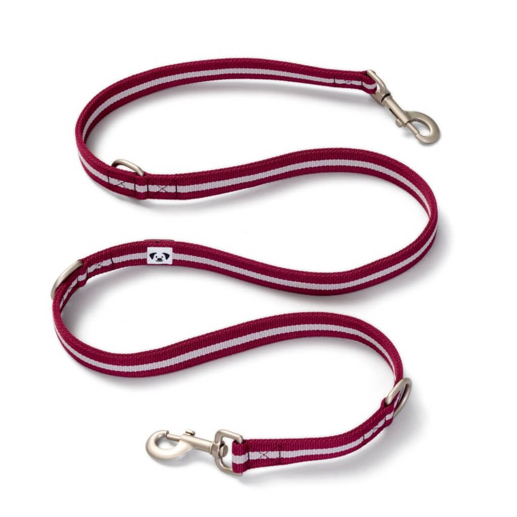 Multi-Purpose Dog Lead Snoot Style.