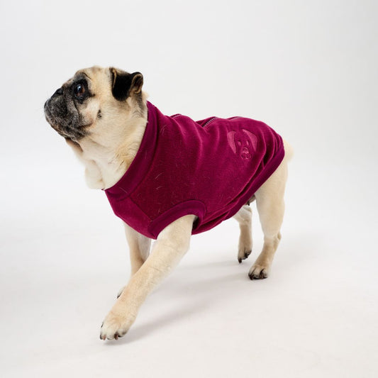 Pug wearing a maroon fleece dog coat on a white background