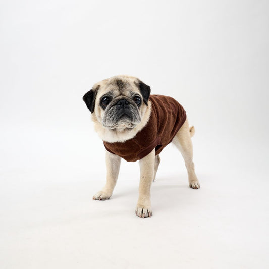 Pug wearing a brown fleece dog coat on a white background