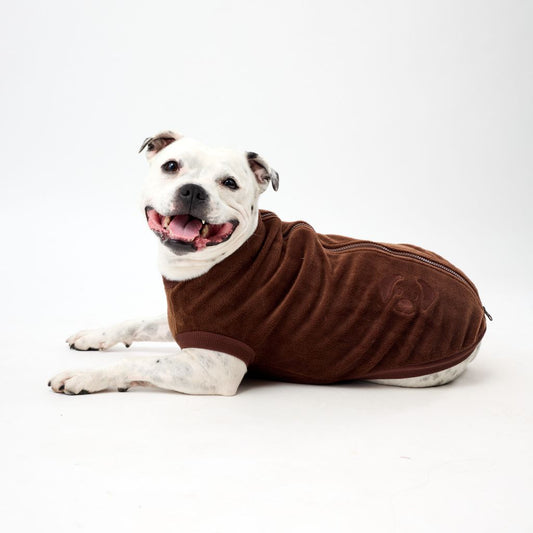 Staffy wearing a brown fleece dog coat on a white background