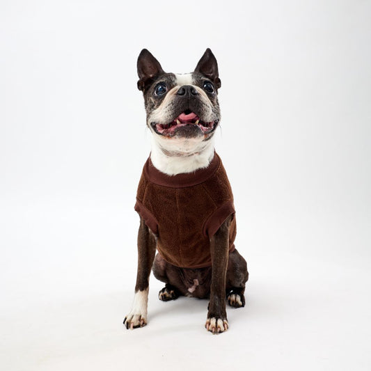 Dog wearing a brown fleece dog coat on a white background