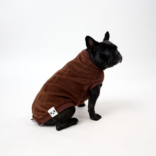 French Bulldog wearing a brown fleece dog coat on a white background