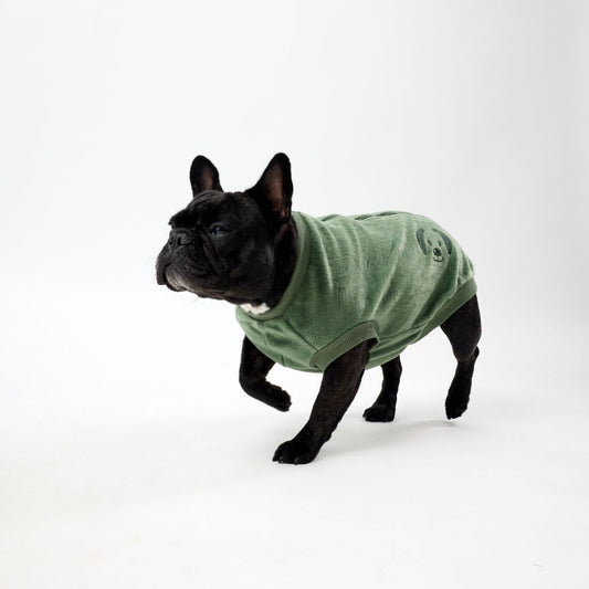French Bulldog wearing a green fleece dog coat on a white background