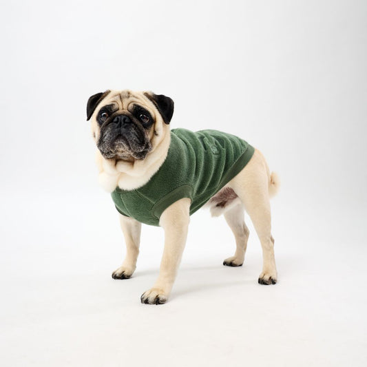 Pug wearing a green fleece dog coat on a white background