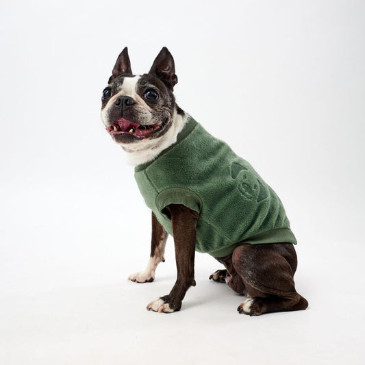 XS Dog wearing a green fleece dog coat on a white background
