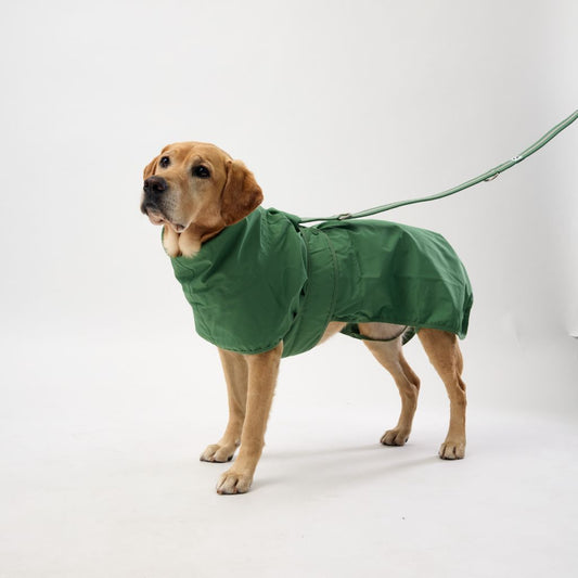 Snoot Style Dog Raincoat with Harness Hole.