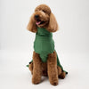 Snoot Style Best Dog Raincoat for Large Dogs.