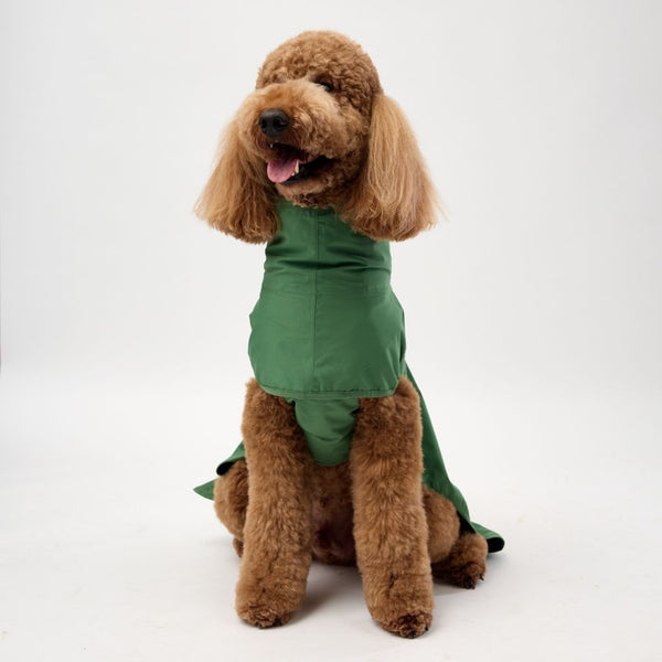 Snoot Style Best Dog Raincoat for Large Dogs.