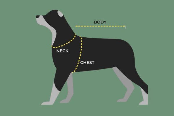 Snoot Style Dog Coats Size Chart