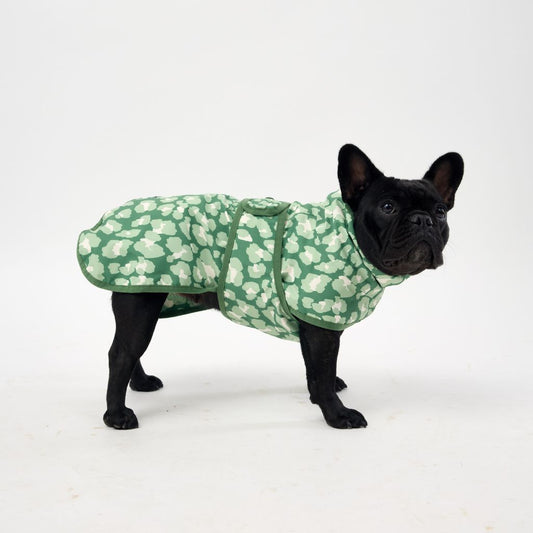 Dog Raincoat for French Bulldog.
