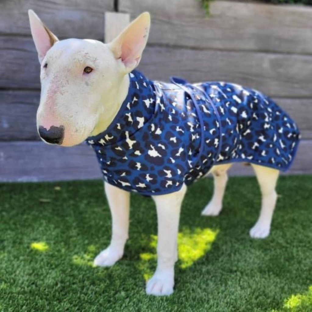 Snoot Style Dog Raincoat with Harness Hole