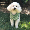 Snoot Style Dog Raincoat Xtra Small Dog