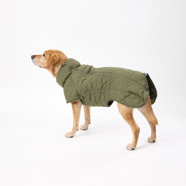 Best Fitting Winter Dog Coat Snoot Style