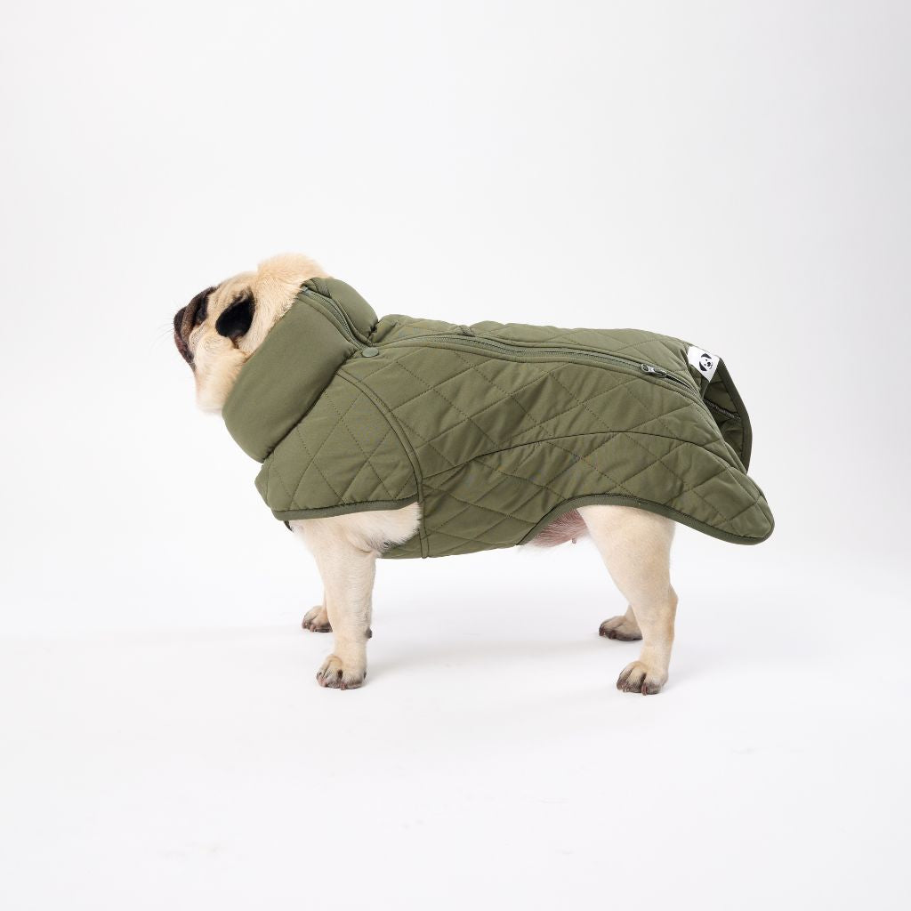 Best Fitting Dog Coat Snoot Style