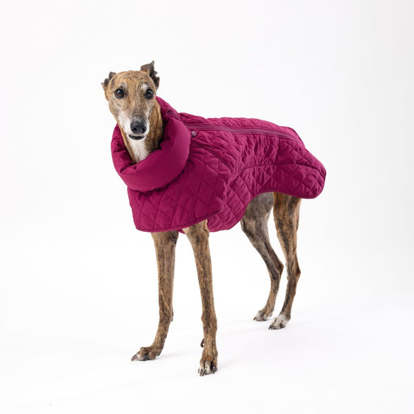 Warm and Quilted Winter Dog Coat for Greyhounds Snoot Style