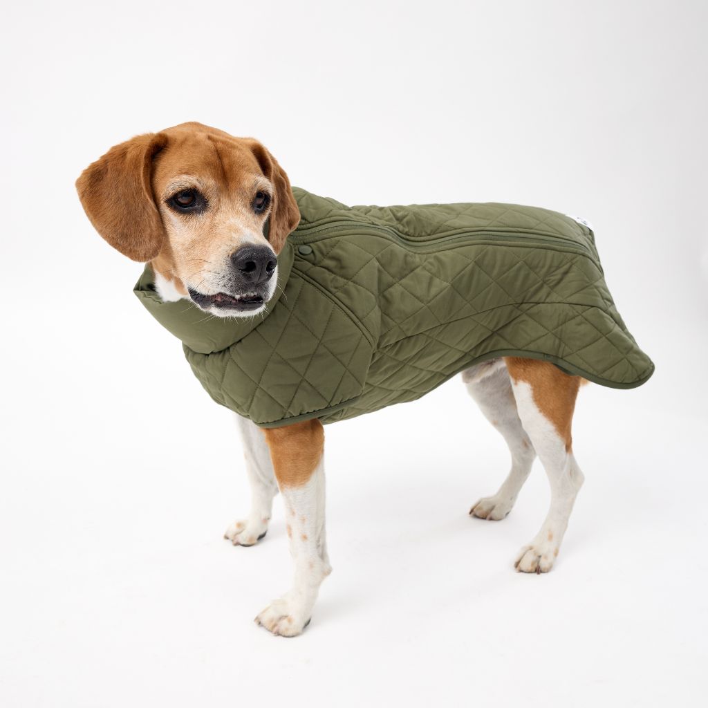 Premium Winter Dog Coat Snoot Style