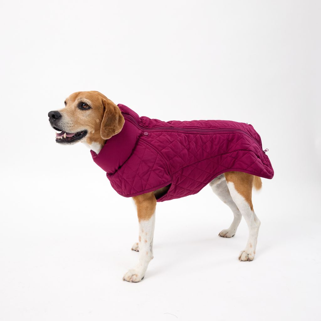 Warm Quilted Dog Coat Snoot Style