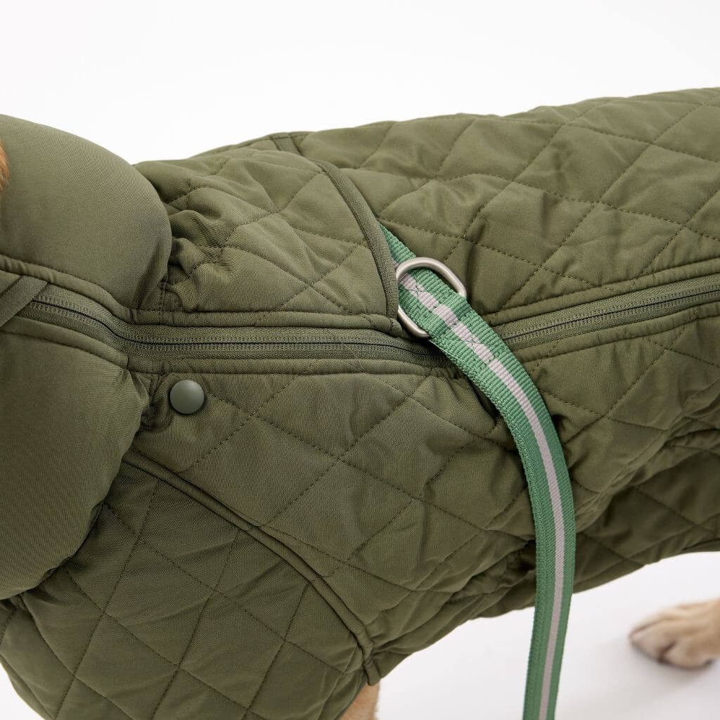 Winter Dog Coat with Harness Hole Snoot Style