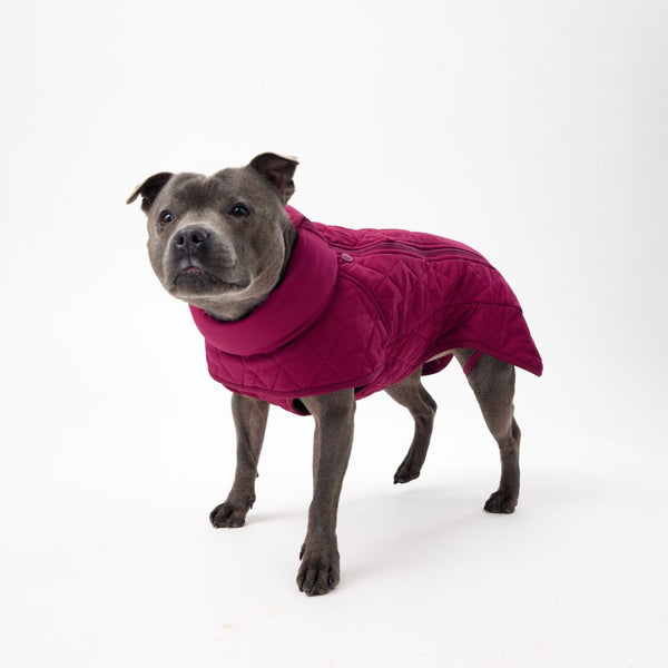 Quilted Winter Dog Coats Snoot Style