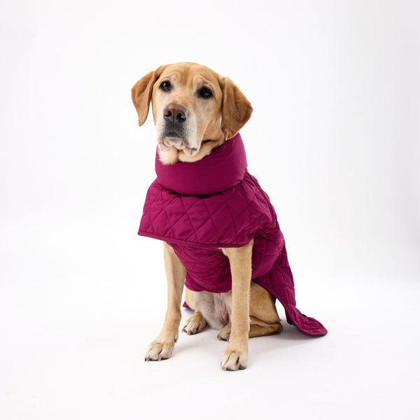 Warm Quilted Dog Coat for Large Dogs Snoot Style