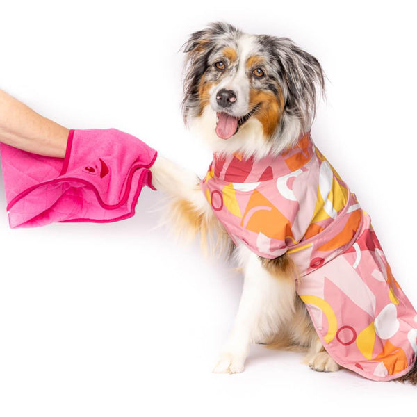 A dog having its paw dried with a Snoot Style dog drying mitt.