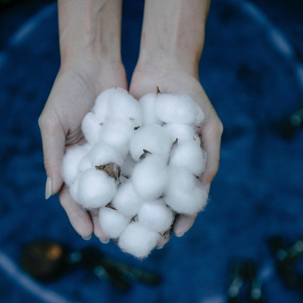 A handful of organic cotton balls.