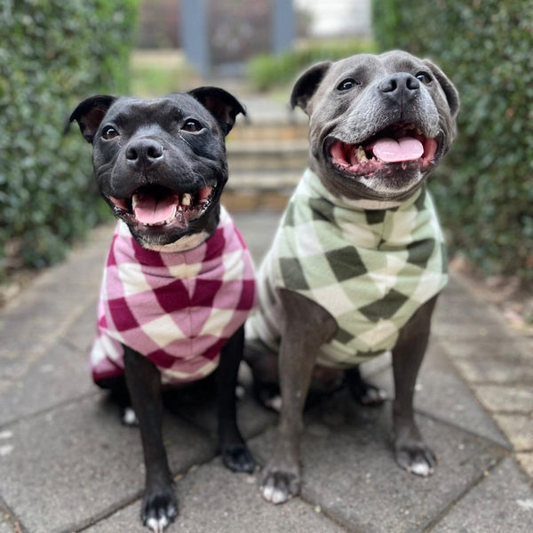 Snoot Style Fleece Dog Coats