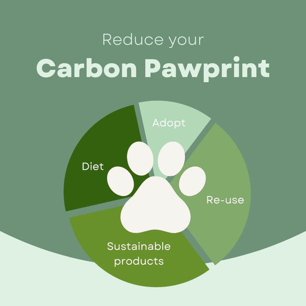 Tips to reduce your dog's carbon footprint.
