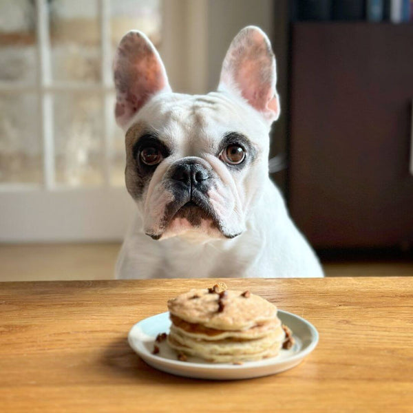 Snoot Style dog friendly pancakes.