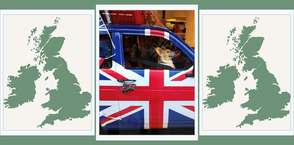 Snoot Style Dog Coats UK Shipping.