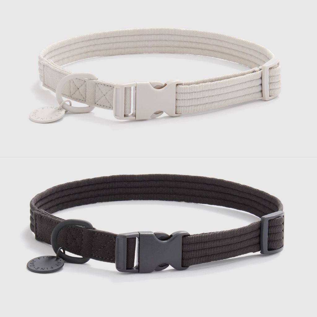 A Fine Day for a Walk Dog Collar | Gift with Purchase