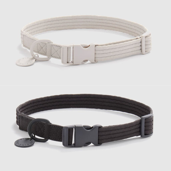 A Fine Day for a Walk Dog Collar | Gift with Purchase