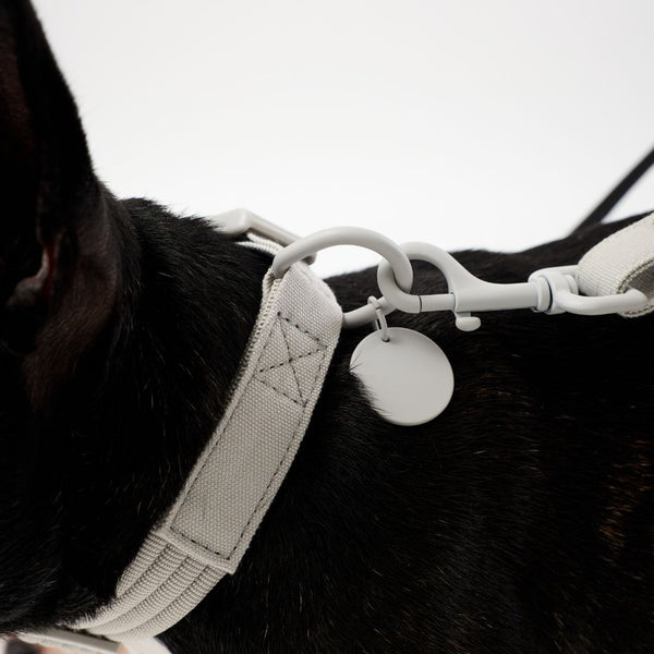 Stylish matching dog collar and lead set Snoot Style.