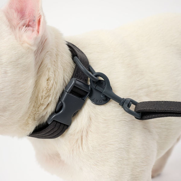 Black matching dog collar and lead set Snoot Style.