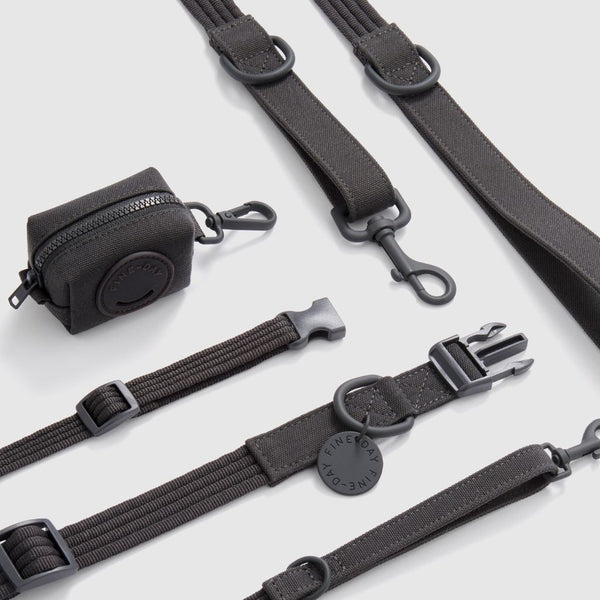 Snoot Style matching recycled dog collar and lead.